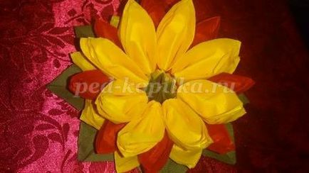 Lotus váza papír szalvéta kezük, mint a jelen március 8. (a) Lotus váza papír szalvéta kezük, mint egy ajándék március 8
