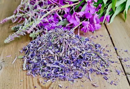 Termesztése füzike (fireweed, Koporsky tea) függetlenül 7 ok, hogy ne csináld magad