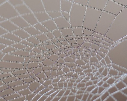 30 hagyományos fényképezés hagyományos internetes (web) 30 hagyományos fotózás hagyományos internetes