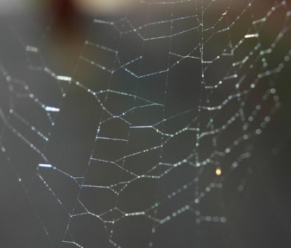 30 hagyományos fényképezés hagyományos internetes (web) 30 hagyományos fotózás hagyományos internetes