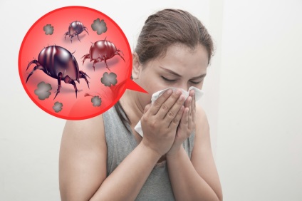 Allergiás a poratka tünetei és kezelése