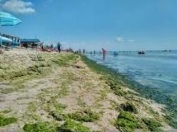 Azovi-tenger megijeszti turisták