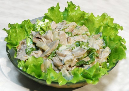 Saláta protein (fehérje) fehérje saláta