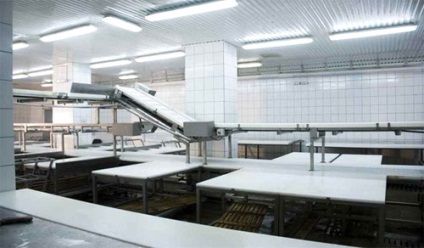 Az üzleti terv megnyitásával műhely a termelés kolbász „tejsav”