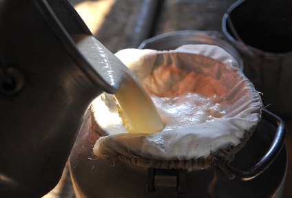 Mi különbözteti meg a túrót a boltban - a falu természetes élelmiszerek (természetes termékek) Mi különbözteti meg a túrót a boltban - a falu természetes élelmiszerek