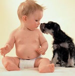 Háziállatok és a baba (pet) Háziállatok és a gyermekek