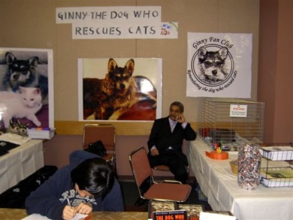 Ginny - kutya megmenti macskák (ginny) - érdekes állatok