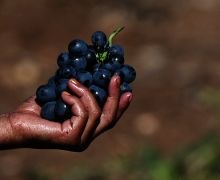 Hol találja a pénzt, hogy a személyes tapasztalat az alapító start-up, a karrier és az üzleti (business) Hol találja a pénzt, hogy a személyes tapasztalat az alapító start-up, a karrier és az üzleti
