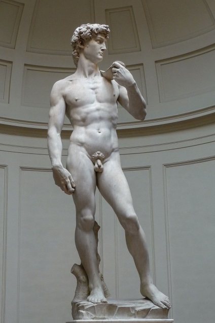 Érdekességek a Michelangelo Buonarroti