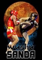A történelem a fejlődés Wushu