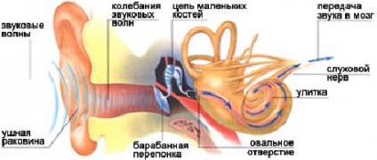 Változtasd meg a rezgés bizonyítani a vágy