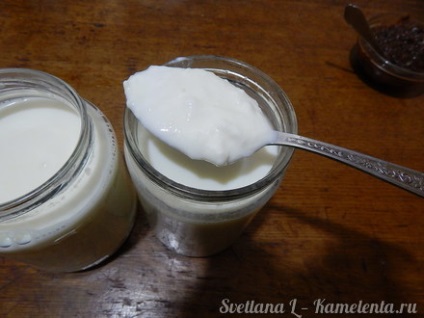 Joghurt recept fotókkal, hogyan kell elkészíteni a joghurt otthon (joghurt) Joghurt recept fotókkal, hogyan kell elkészíteni a joghurt otthon