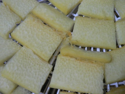 Cukkini cpagetti tapasztalat növekvő és a főzés (cpagetti) Cukkini cpagetti tapasztalat növekvő és főzés