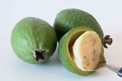 Amint az Feijoa