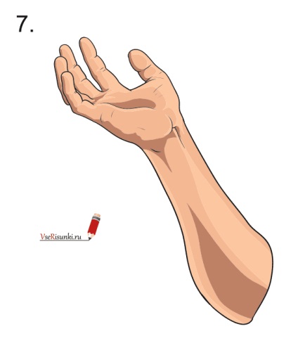 Hogyan kell felhívni a kezét egy ceruza szakaszokban