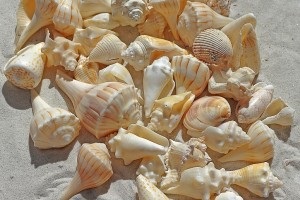 Hogyan válasszuk ki a vállalkozás Magyarországon, az üzleti nap (tonna gabona termelés) Hogyan válasszuk ki a vállalkozás Magyarországon, az üzleti naponta