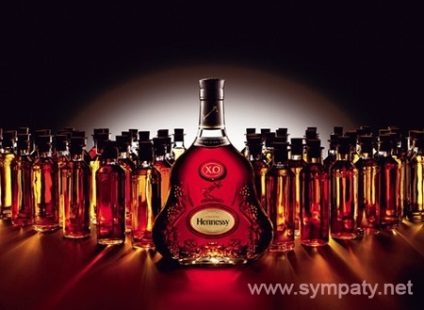 Hogyan válasszuk ki a brandy tippeket és titkok a nem szakemberek számára (kiválasztani a konyak) Hogyan válasszuk ki a brandy tippeket és titkok a laikusok számára