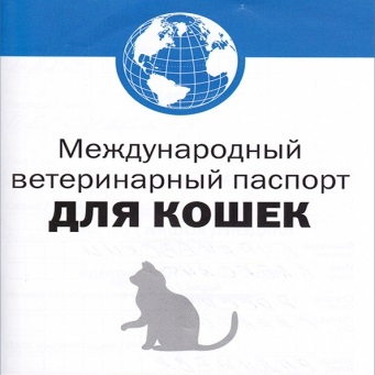 Hogyan lehet regisztrálni egy cica a klub, leopárd shahnnru