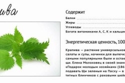 Szúró allergiában (csalán) Szúró allergiától