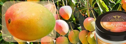 Mango vaj tulajdonságai és alkalmazásai a haj, arc és a test (haj) Mango vaj tulajdonságai és alkalmazásai a haj, az arc és a test