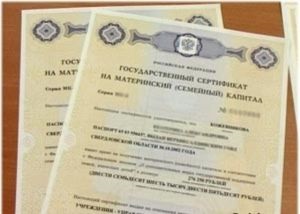 Anyai tőke információs portál (információ) Anyaság tőke, információs portál