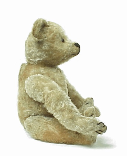 Esetben 1 blog szerzői Teddy Bear