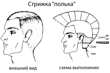 Ápolás polka 4 variációk és végrehajtása a technológia híres frizura