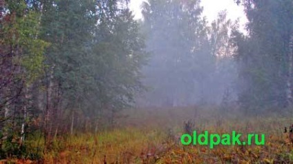 Folk előjelek találhatóak gombák (táblák) Folk előjelek mintegy gomba