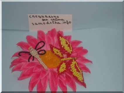 Rovarok bead-lépésben képek (pillangó háló gyöngyök) Rovarok bead-lépésre fotó