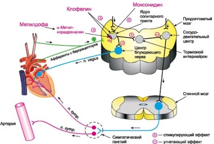 Neurotrop vérnyomáscsökkentők (magas vérnyomás kezelésére) neurotrop vérnyomáscsökkentők