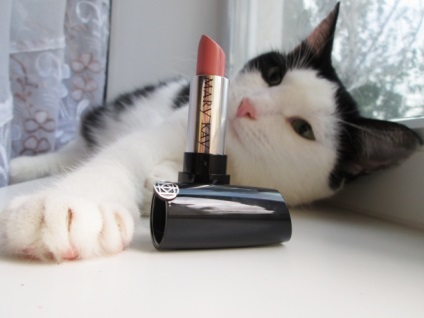 Az újdonság a Mary Kay (rúzs) Új Mary Kay