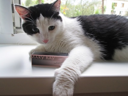 Az újdonság a Mary Kay (nyudy) Új Mary Kay