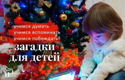 Новорічні загадки для дітей з відповідями, блог Ірини Зайцевої