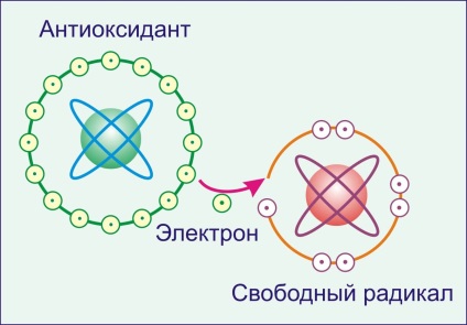 Az oxidatív stressz vagy oxidatív sérti a test