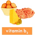 A fő forrásai a vitaminoknak és a funkció