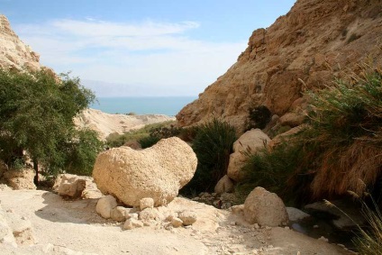 a Holt-tenger, pihenés fiatalító és kezelése egy helyen