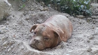 Піраміда на Новоризькому шосе вУкаіни ураганом зруйнована унікальна піраміда