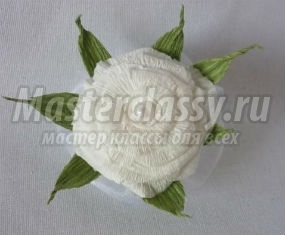 Lush virág gyapjú kezük (saját) Lush virág gyapjú a saját kezét