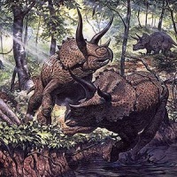Miért dinoszauruszok változatok bővelkedik