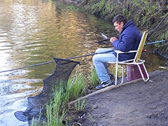 Catch emberke! (Gudgeon) Catch emberke!