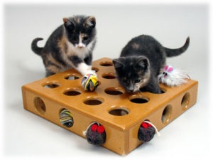 Проста іграшка і ігровий полігон для кішки своїми руками