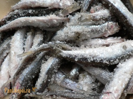 Egyszerű recept sózott szardella, Pantikapaion (sózott) Egy egyszerű recept sózott szardella, Pantikapaion