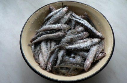 Egyszerű recept sózott szardella, Pantikapaion (sózott) Egy egyszerű recept sózott szardella, Pantikapaion