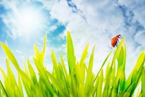 Növények és állatok tározók (élő állatok vizek) Növények és állatok tározók
