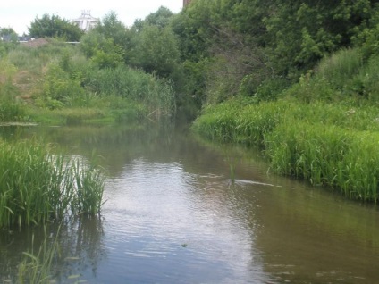 csirkék River - vonzás Khabarovsk Krai (Terület) csirkék River - látnivaló Habarovszk határterület