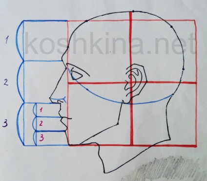 Rajz a fej profilban - Koshkin anna