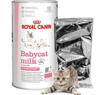 Royal Canin - macska tejpótló