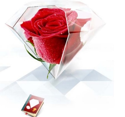 Roses melegházban termesztése saját kezét eladó és öröm (rózsa) Roses melegházban termesztése saját kezét eladó és szórakozás
