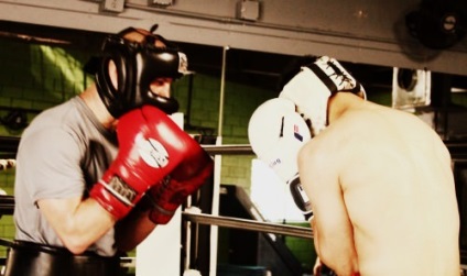 Túlélési útmutató újoncok sparring (sparring) Túlélési útmutató újoncok sparring