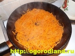 Saláta „Obzhorka” (hogyan kell elkészíteni egy salátát Obzhorka) Saláta „Obzhorka”